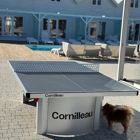 Destino Wakacyjne Domki-dwa Podgrzewane Baseny-drink Bar Tatil Evi Mielno (Koszalin)